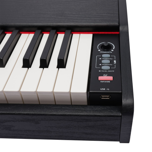 ROCKDALE Keys RDP-1088 цифровое пианино, 88 клавиш фото 6