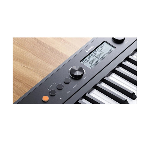 Donner SD-10 портативное цифровое пианино, 61 клавиша, 32 полифония, 300 тембров, 300 ритмов фото 7