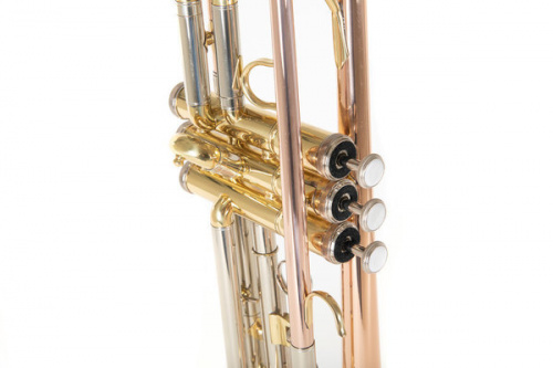 ROY BENSON TR-202G Bb труба (цвет золото) (RB701075) фото 9