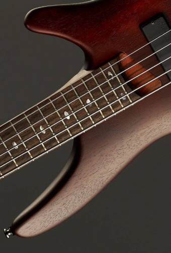 IBANEZ SR505 BM бас-гитара 5-cтрунная, цвет Brown Mahogany, корпус махагон, гриф на болтах, 5 сл ятоба/бубинга, накладка палисандр, 24 лада, мензура 3 фото 11