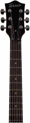 TERRIS TLP-039 BK электрогитара Les Paul, HH, 2V2T, цвет черный фото 6