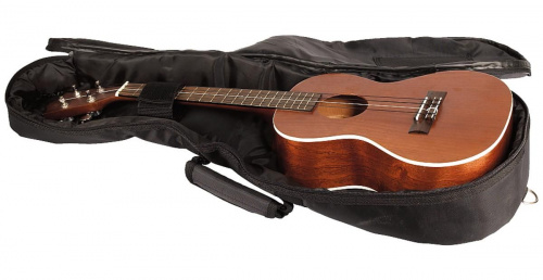Rockbag RB20002B чехол для укулеле Tenor, серия Student, подкладка 10мм, чёрный