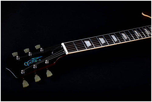 JET JL-500 GD электрогитара, Les Paul, корпус красное дерево, HH, цвет золотой фото 12