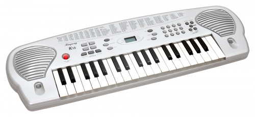 Ringway K15 Синтезатор, 37 клавиш, LCD дисплей, полифония 32 ноты, 100 стилей, 10 демо песен фото 2