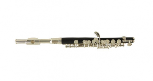 Wisemann DPL-200 флейта-пикколо C стандартная, корпус ABS, посеребренная