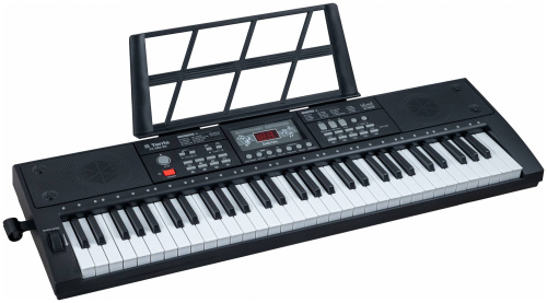 TERRIS TK-250 BK синтезатор, 61 мини клавиша, микрофон, цвет черный фото 2