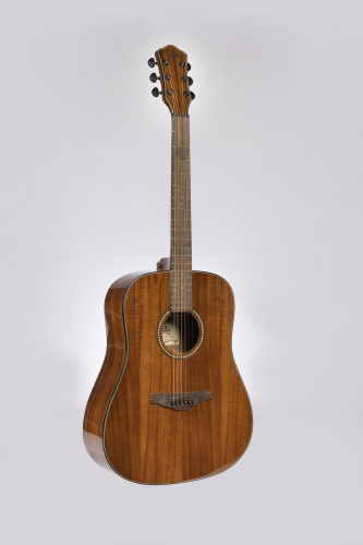 Sevillia DS-250 FCKNT Гитара акустическая шестиструнная фото 2