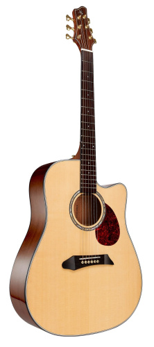 NG DM411SC NA акустическая гитара, цвет натуральный фото 2