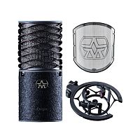 Aston Microphones ORIGIN BLACK BUNDLE Студийный микрофон с держателем и поп-фильтром, черный корпус