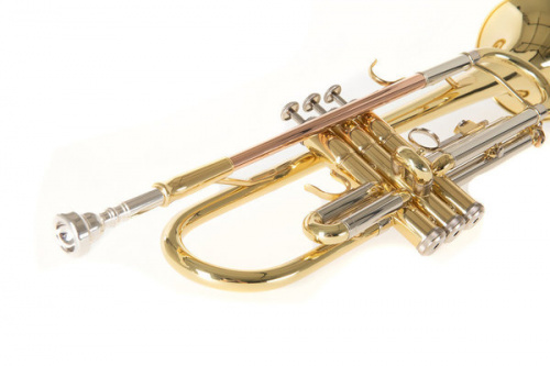 ROY BENSON TR-202 Bb труба (цвет золото) фото 9