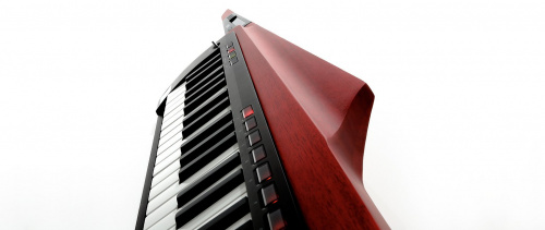 KORG RK100S-2 RD программируемый аналоговый синтезатор-клавитара фото 3