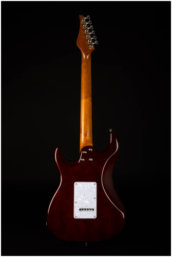 JET JS-450 QTBR Электрогитара шестиструнная фото 15
