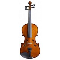 TERRIS VIO-44 Скрипка 4/4, отделка classic (в комплекте смычок, канифоль, футляр)