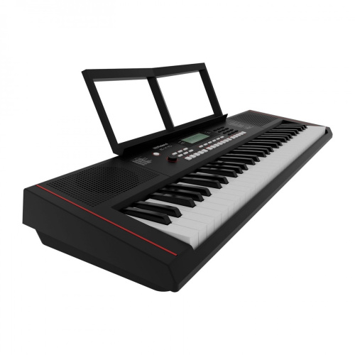 Roland E-X10 синтезатор с автоаккомпанементом, 61 клавиша, 64 полифония, 207 стилей, 610 тембров фото 7