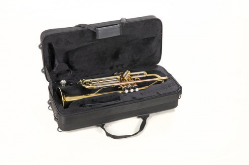 ROY BENSON TR-202 Bb труба (цвет золото) фото 3
