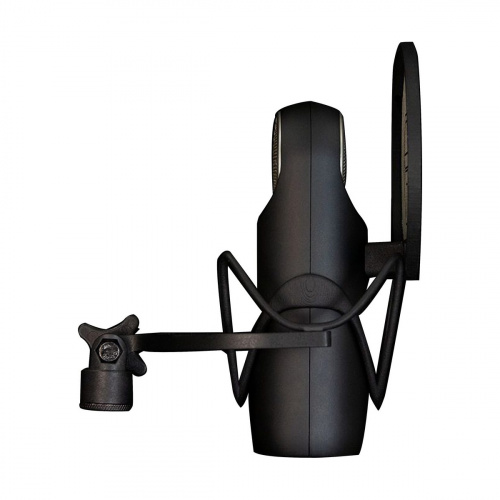 Aston Microphones ELEMENT BUNDLE Студийный микрофон с эластичным держателем и поп-фильтром фото 3
