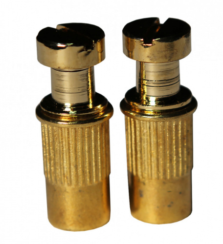 PAXPHIL TB001-GD крепление струнодержателя для электрогитары (втулка с болтом), золото