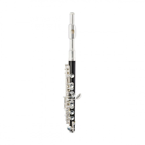 Arnolds&Sons APC-107 флейта-пикколо