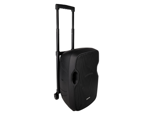 Gemini AS-10TOGO Портативная акустическая система, 10" вуфер, bluetooth, USB. SD фото 15