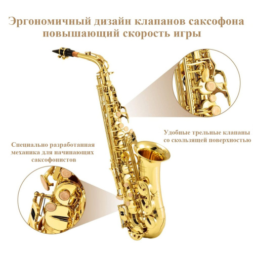 Eastar AS-II Student альт-саксофон, комплект со стойкой, лак золото фото 2