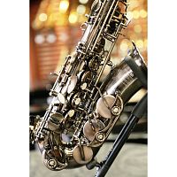 Stephan Weis AS-200H Альт-саксофон, корпус-латунь, состаренное серебро, кожзам жесткий кейс