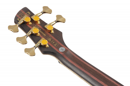 IBANEZ SR5FMDX-EGL электрическая бас-гитара, 5 струн, корпус ясень с топом из огненного клёна, цвет изумрудный зелёный фото 5