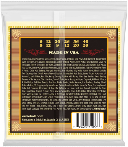 Ernie Ball 2051 струны для 12стр. акуст.гитары Silk&Steel Soft (9-9.12-12.20w-9.26-12.36-20p.46-26) фото 2