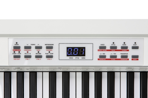 Kurzweil KA70 WH Цифровое пианино, 88 полувзвешанных клавиш, полифония 128, цвет белый фото 2