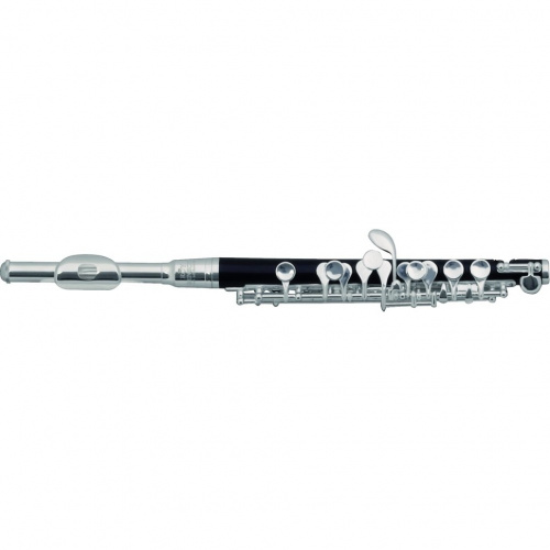 ROY BENSON PC-502 флейта Piccolo (RB700420)