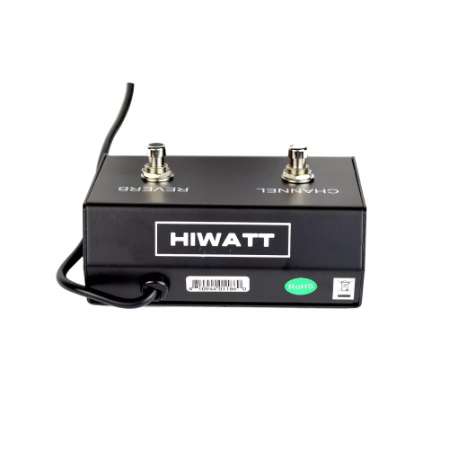HIWATT FS201 Footswitch педаль эффектов, футсвич с 2-мя кнопками фото 2