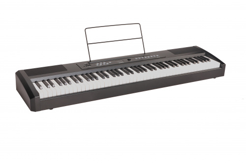 Ringway RP-25 Цифровое фортепиано. Клавиатура: 88 полноразмерных динамических молоточковых клавиш фото 2