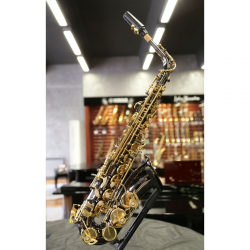 Stephan Weis AS-100C Альт-саксофон, корпус-латунь, черный корпус, золотые клапаны, легкий кейс
