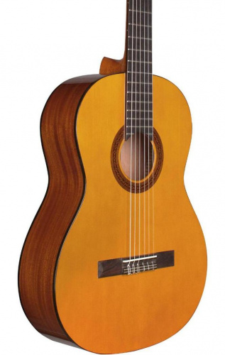 CORDOBA PROTG C1M классическая гитара, корпус махогани, верхняя дека ель, цвет натуральный, покрыти фото 2