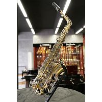 Stephan Weis AS-100D Альт-саксофон, корпус-латунь, лак-золото, светлые клапаны, легкий кейс