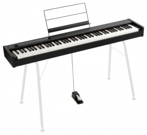 KORG D1 цифровое пианино, цвет черный фото 3
