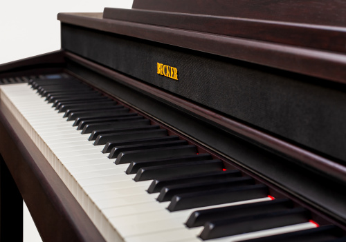 Becker BAP-62R цифровое пианино, цвет палисандр, механика New RHA-3, пластиковые клавиши фото 2