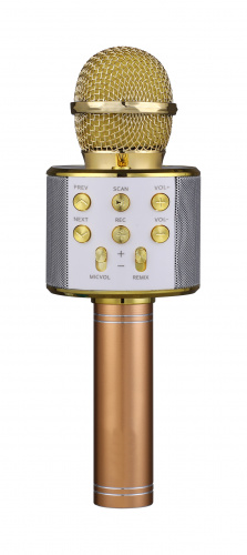 FunAudio G-800 Gold Беспроводной микрофон. Поддержка файлов: MP3, WMA. Bluetooth V4.0 + EDR. 3W