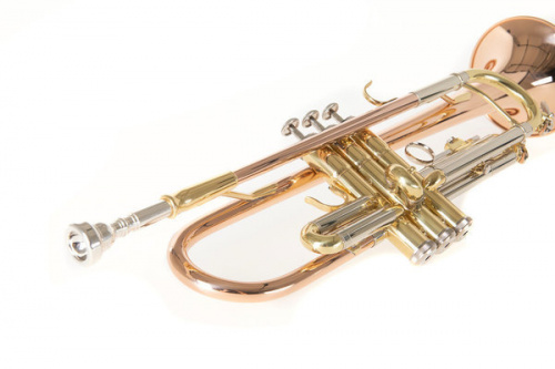 ROY BENSON TR-202G Bb труба (цвет золото) (RB701075) фото 5