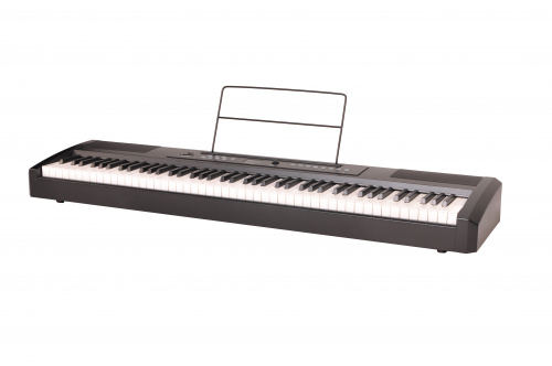 Ringway RP-25 Цифровое фортепиано. Клавиатура: 88 полноразмерных динамических молоточковых клавиш фото 3