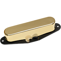 DiMarzio DP417G Area T Neck, gold cover звукосниматель