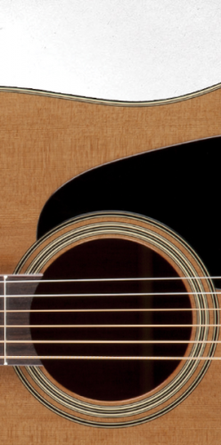 TAKAMINE PRO SERIES 1 P1DC электроакустическая гитара типа DREADNOGHT CUTAWAY с кейсом, цвет натуральный, верхняя дека - массив кедра, нижняя дека и о фото 5