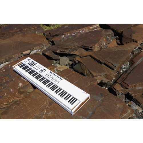Arturia KeyLab 88 MKII Bundle 88 клавишная полновзвешенная USB MIDI клавиатура, в комплекте стойка и ПО VCollection 6 фото 8