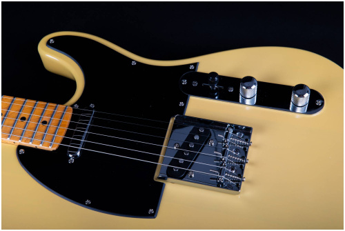 JET JT-350 BSC электрогитара, Telecaster, корпус липа, 22 лада, SS, цвет Buterscotch фото 5