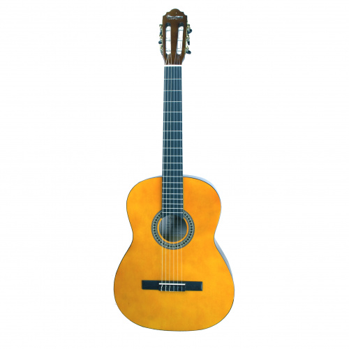 Barcelona CG6 4/4 Классическая гитара, размер 4/4 фото 2