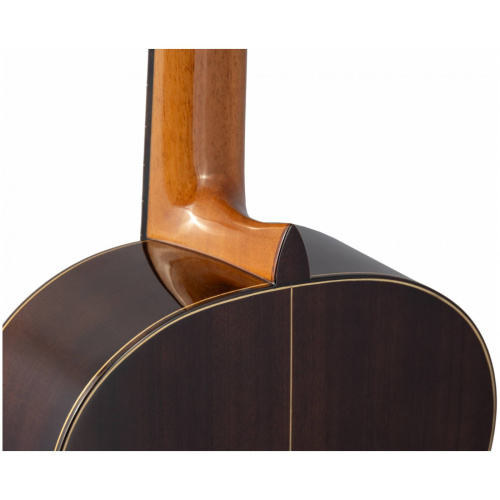 ALTAMIRA N400+ классическая гитара 4/4, верхняя дека массив кедра, корпус массив кр. дерева. Чехол фото 8