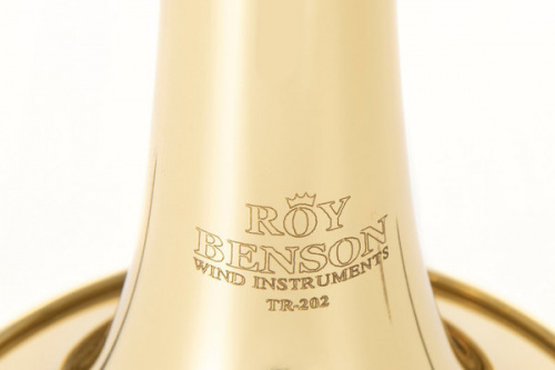 ROY BENSON TR-202 Bb труба (цвет золото) фото 5
