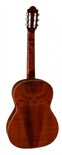 PRO ARTE GC 240 II гитара классическая, верхняя дека массив кедра, матовый лак фото 2