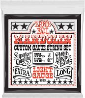 Ernie Ball 2323 струны для мандолины Stainless Steel Light (9-13-22w-34)