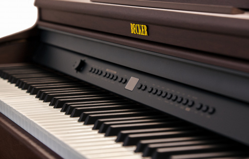 Becker BPP-22R цифровое пианино, цвет палисандр, механика New RHA, пластиковые клавиши фото 4