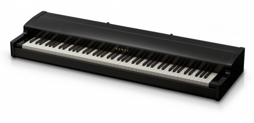 Kawai VPC1 цифровое пианино/MIDI контроллер/Цвет черный/Деревянные клавиши/3 педали в комплекте фото 3
